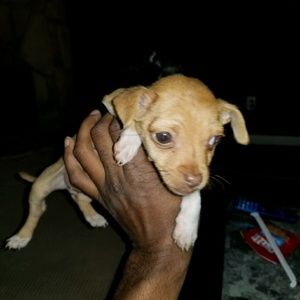 Meet your Posher, Jeremiah